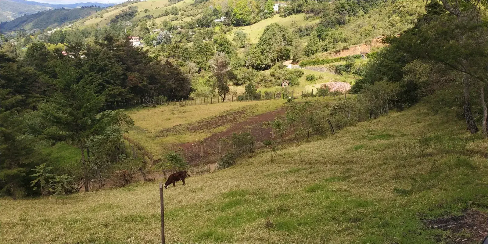 Foto 1 del terreno