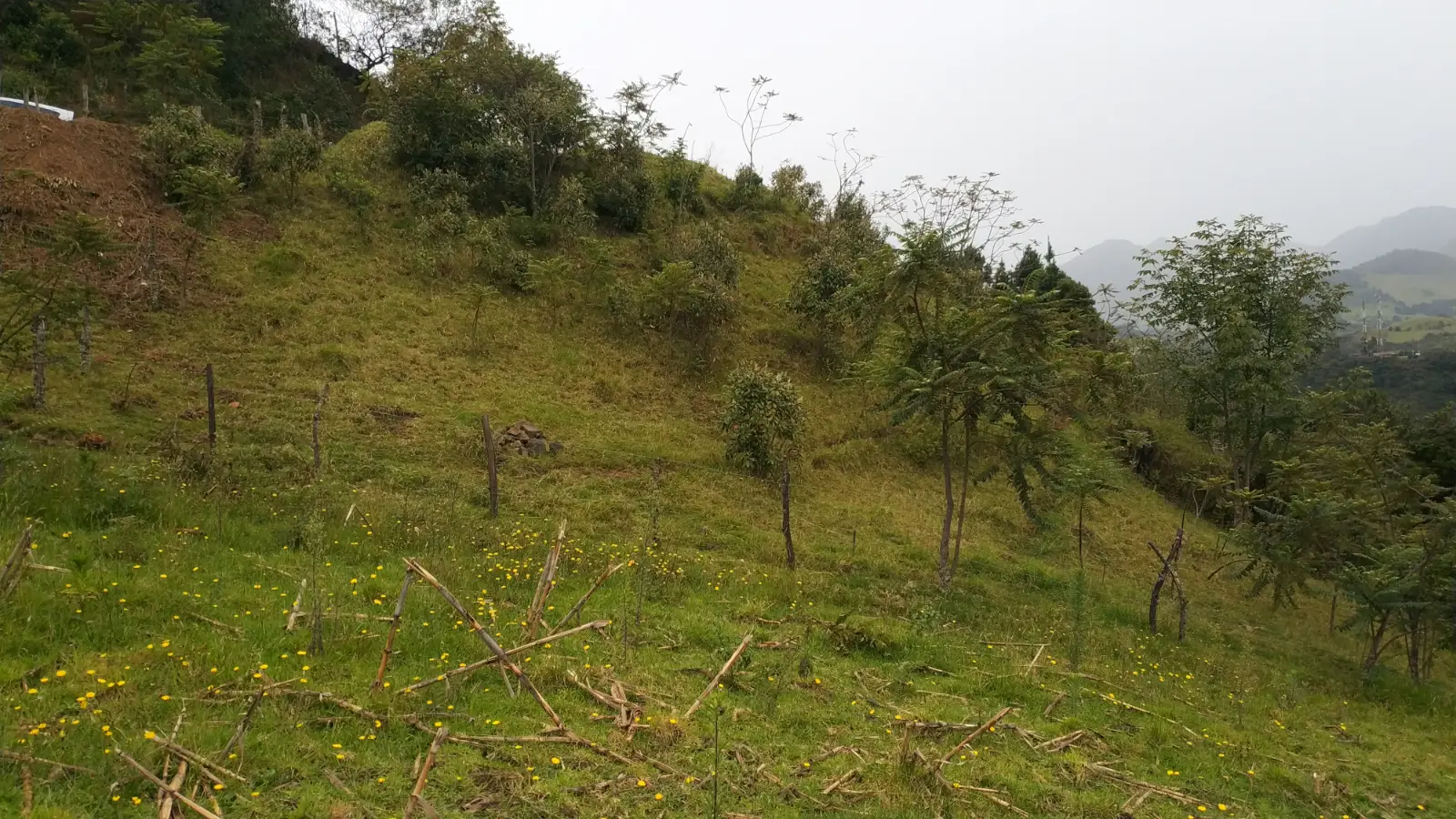 Foto 4 del terreno